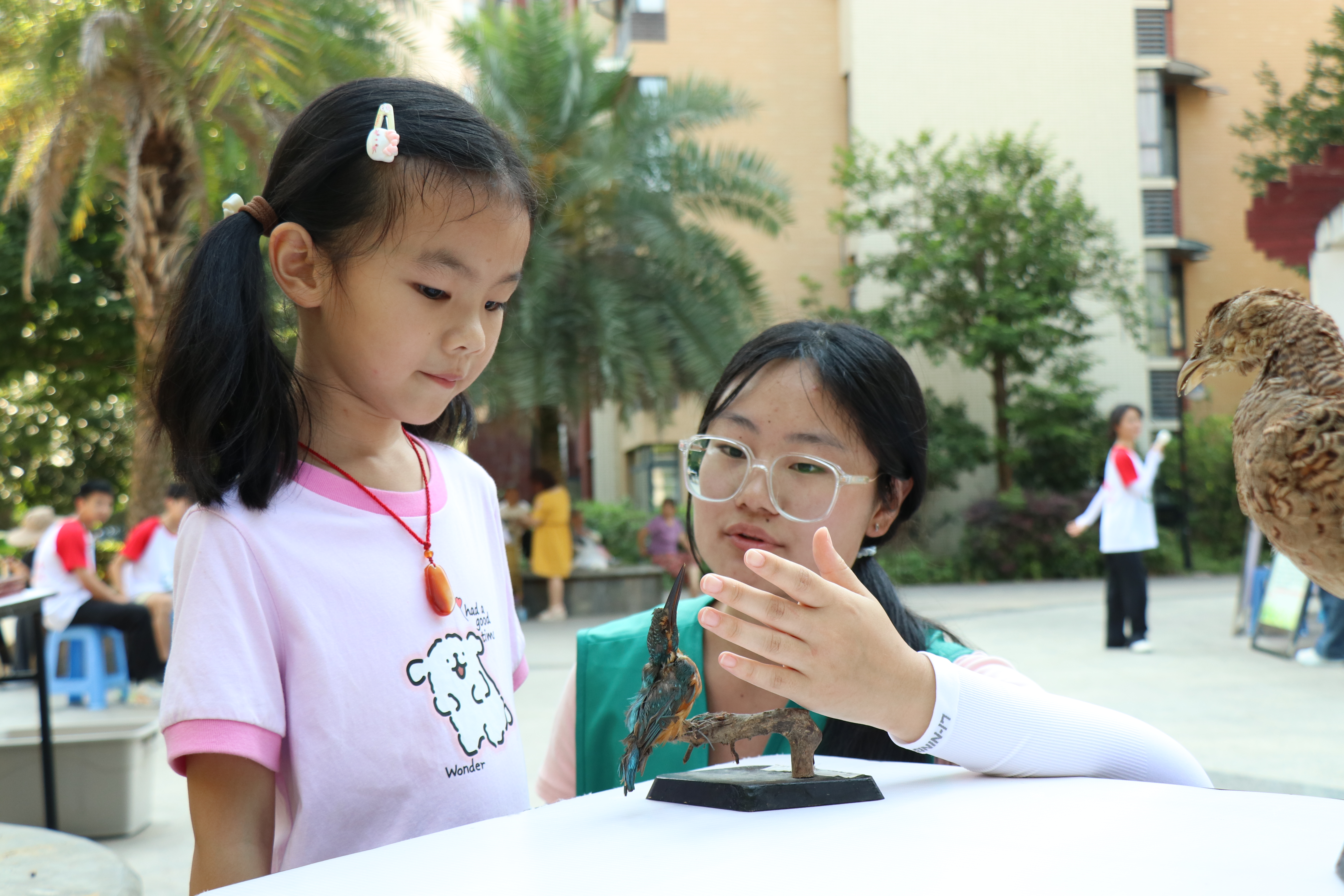 图为标本讲解 刘羽婕摄.JPG